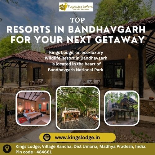 Top Resorts In Bandhavgarh For Your Next Getaway
